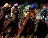 Horse Racing Triple Crown Photos